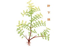 美术教师的述职报告(美术教师述职报告示例文章)